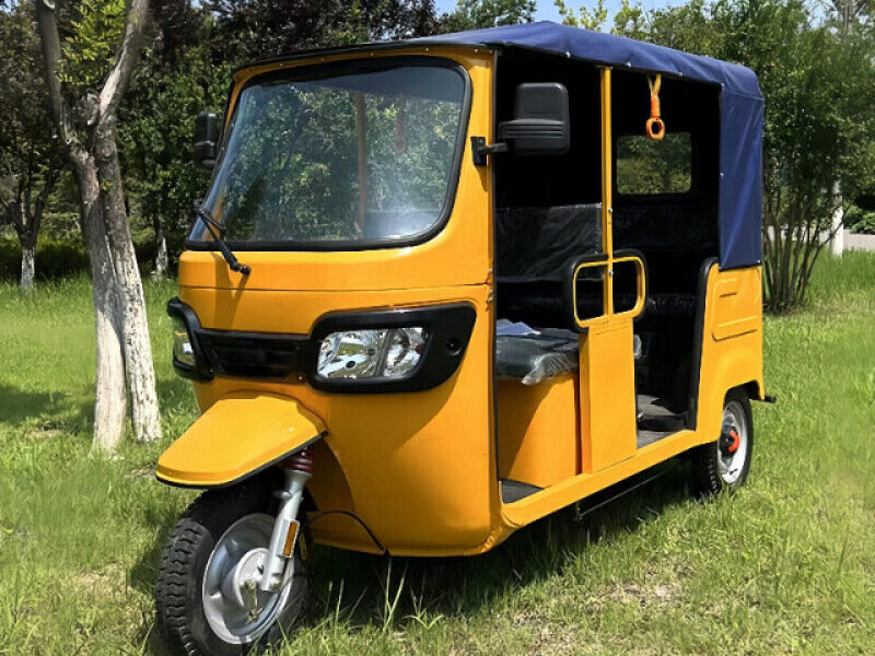 New Arrival 1000W Motor Tricycle Common for Passenger 3 Wheel Bike Keke Bajaj Africa Tuk Tuk Taxi