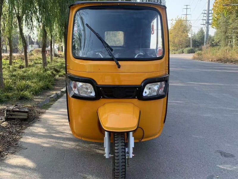 New Arrival 1000W Motor Tricycle Common for Passenger 3 Wheel Bike Keke Bajaj Africa Tuk Tuk Taxi