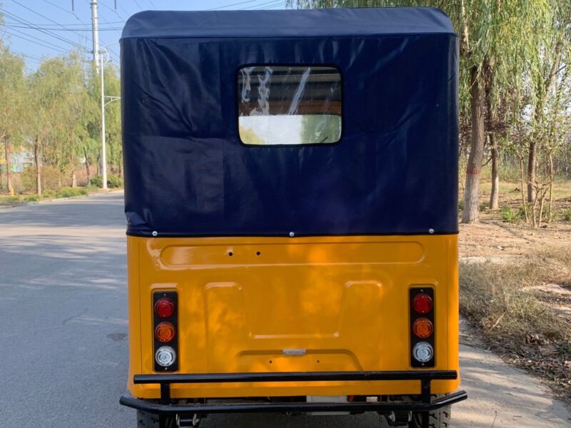 New Arrival 1000W Motor Tricycle Common for Passenger 3 Wheel Bike Keke Bajaj Africa Tuk Tuk Taxi