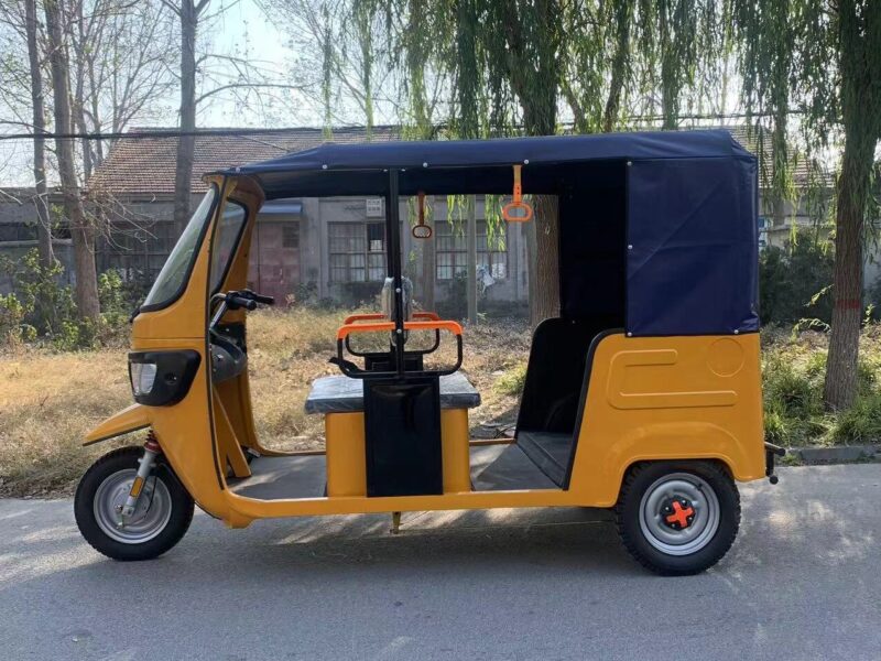 New Arrival 1000W Motor Tricycle Common for Passenger 3 Wheel Bike Keke Bajaj Africa Tuk Tuk Taxi