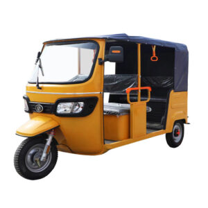 New Arrival 1000W Motor Tricycle Common for Passenger 3 Wheel Bike Keke Bajaj Africa Tuk Tuk Taxi