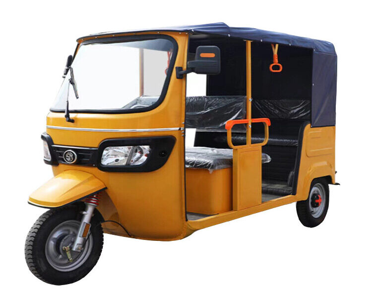 New Arrival 1000W Motor Tricycle Common for Passenger 3 Wheel Bike Keke Bajaj Africa Tuk Tuk Taxi