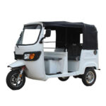 New Arrival 1000W Motor Tricycle Common for Passenger 3 Wheel Bike Keke Bajaj Africa Tuk Tuk Taxi - image 2