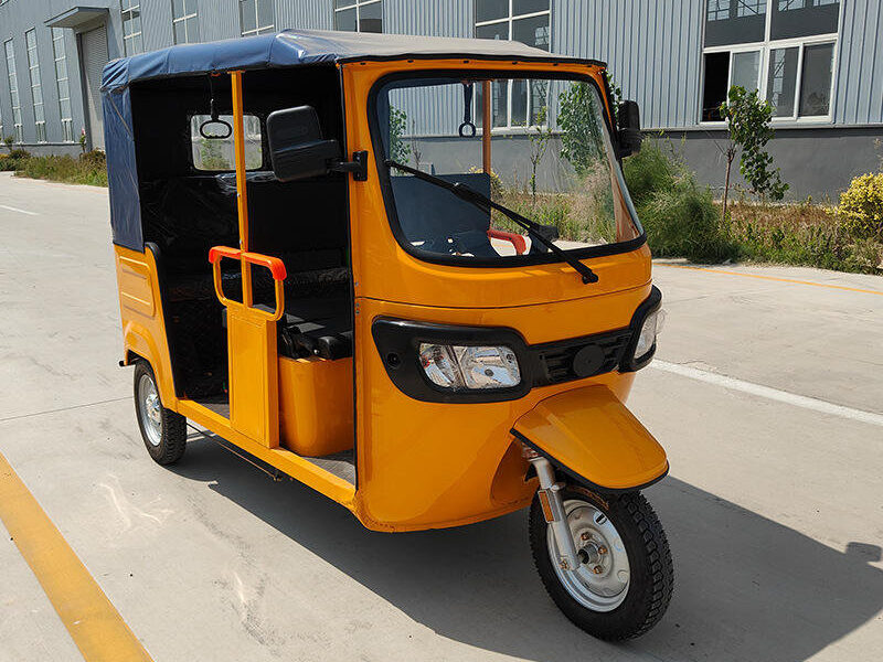 New Arrival 1000W TVS Motor Electric Open Body 3-Wheel Passenger Bike 60V Bajaj Africa Keke Bajaj with Common Features