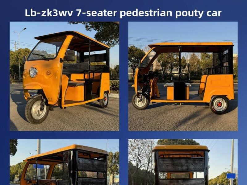 New Arrival 1000W TVS Motor Electric Open Body 3-Wheel Passenger Bike 60V Bajaj Africa Keke Bajaj with Common Features