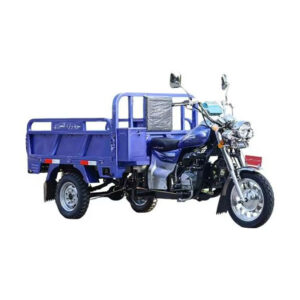 New China Factory Strongest Power 200cc Three Wheel Cargo Gasoline Tricycle Motorcycle