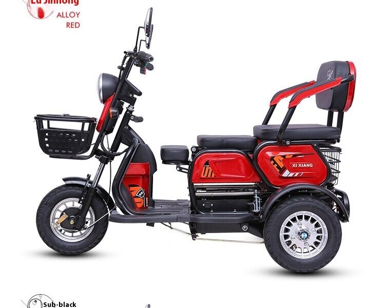 New Design Factory Direct 60V 600W 800W Super Powerful Battery Tricycle Recreational Electric Trike for Adults