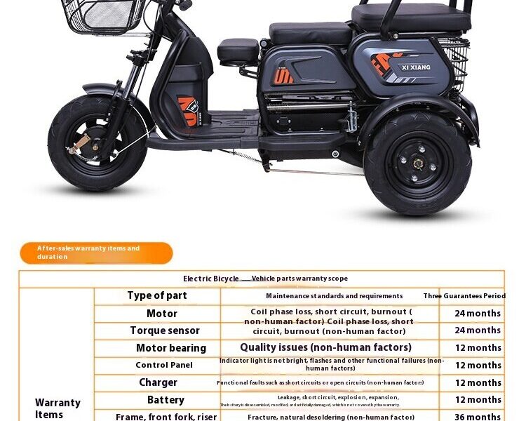 New Design Factory Direct 60V 600W 800W Super Powerful Battery Tricycle Recreational Electric Trike for Adults