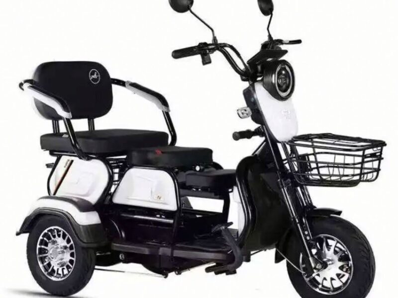 New Design Factory Direct 60V 600W 800W Super Powerful Battery Tricycle Recreational Electric Trike for Adults