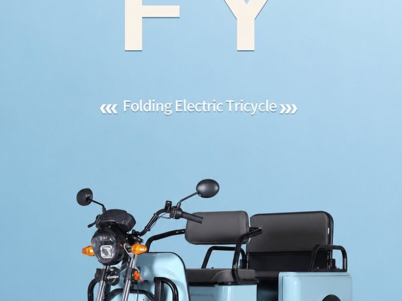 New Energy Fashion 72v Cargo Tricycle FY Design Front Rear Airbag 1000W Motorized Adult Size Electric Pure Electric Tricycle