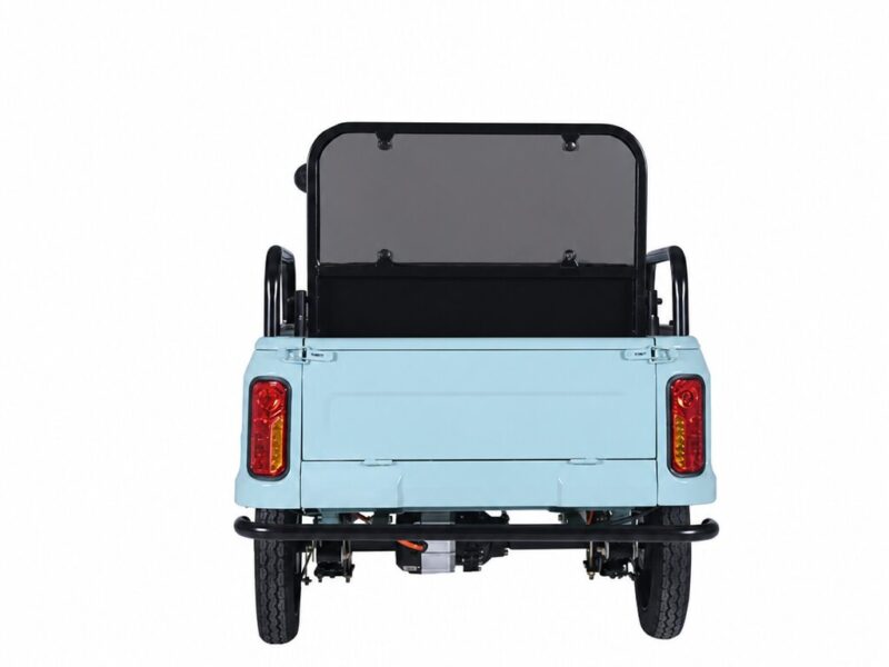 New Energy Fashion 72v Cargo Tricycle FY Design Front Rear Airbag 1000W Motorized Adult Size Electric Pure Electric Tricycle