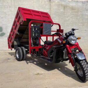 New Style 250Cc 350Cc Dump Cargo Motor Tricycle Motorcycle 3/5/9 Wheels Gasoline Electric Tricycle for Sale