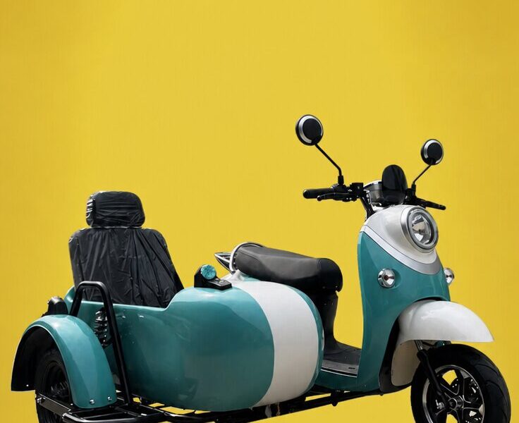 New Styles Wholesale Three Wheels Electric Sidecar Tricycle for Adults Side Bucket Carries 3 People