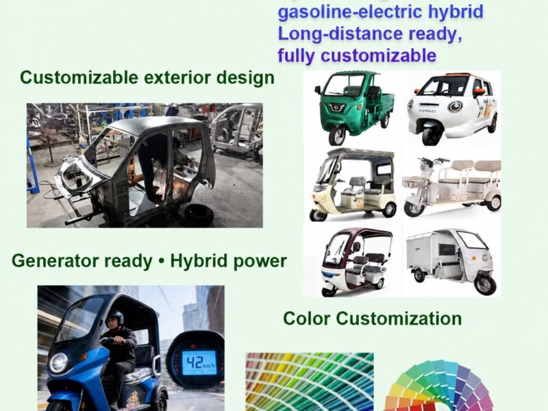 OEM48 60 72V Wheels Battery Passenger Cargo Pedicab 3-wheel Electric Tricycle Motorcycle Motorized Electric Tricycles