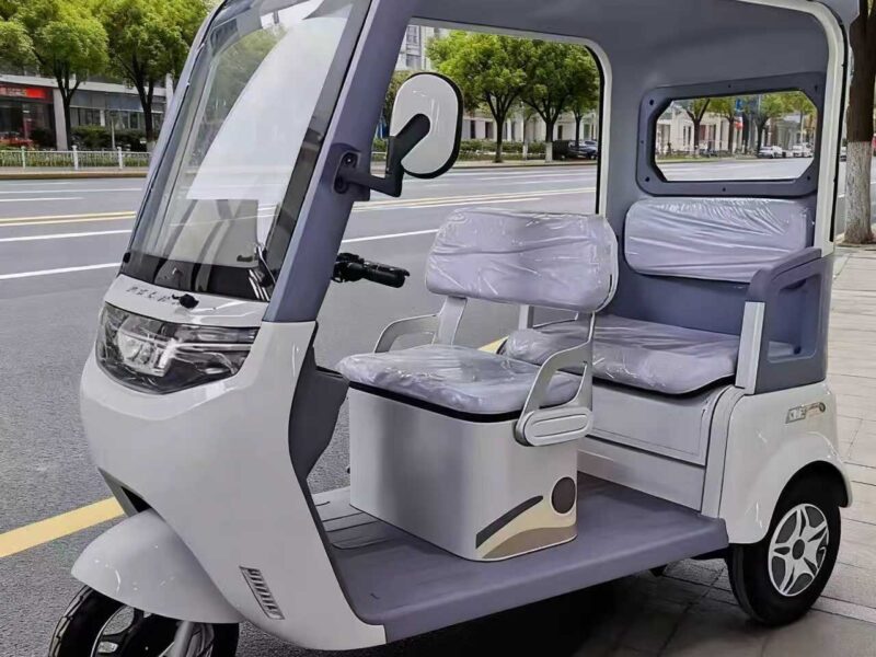 OEM48 60 72V Wheels Battery Passenger Cargo Pedicab 3-wheel Electric Tricycle Motorcycle Motorized Electric Tricycles