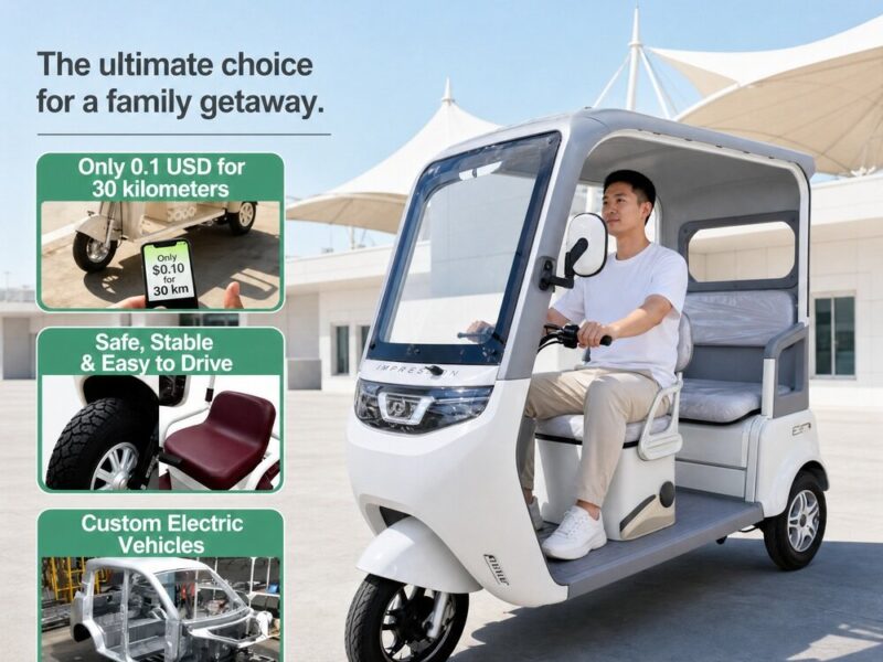 OEM48 60 72V Wheels Battery Passenger Cargo Pedicab 3-wheel Electric Tricycle Motorcycle Motorized Electric Tricycles