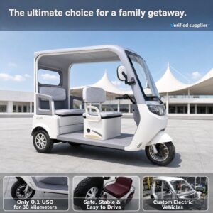 OEM48 60 72V Wheels Battery Passenger Cargo Pedicab 3-wheel Electric Tricycle Motorcycle Motorized Electric Tricycles