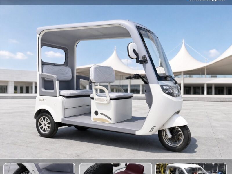 OEM48 60 72V Wheels Battery Passenger Cargo Pedicab 3-wheel Electric Tricycle Motorcycle Motorized Electric Tricycles