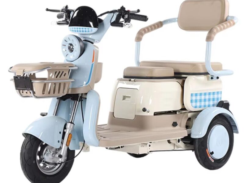Open Body Adult Electric Tricycle with 500W-1200W Motor 35km/h Speed & 200kg Payload