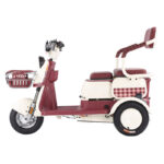 Open Body Adult Electric Tricycle with 500W-1200W Motor 35km/h Speed & 200kg Payload - image 2