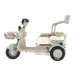 Open Body Adult Electric Tricycle with 500W-1200W Motor 35km/h Speed & 200kg Payload - image 3