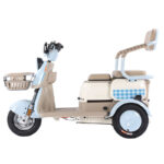 Open Body Adult Electric Tricycle with 500W-1200W Motor 35km/h Speed & 200kg Payload - image 4
