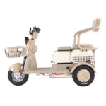 Open Body Adult Electric Tricycle with 500W-1200W Motor 35km/h Speed & 200kg Payload - image 6