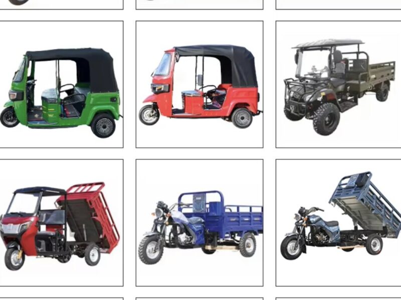 Passenger-Carrying Taxi Gasoline Powered Tricycle Tuk Tuk Taxi Petrol Motorcycle Gasoline Tricycles