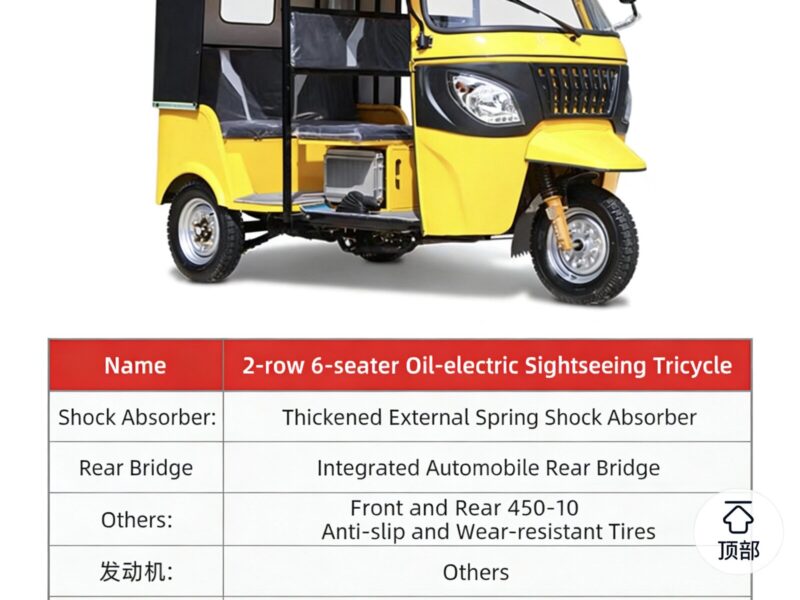 Passenger-Carrying Taxi Gasoline Powered Tricycle Tuk Tuk Taxi Petrol Motorcycle Gasoline Tricycles