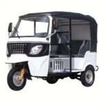 Passenger-Carrying Taxi Gasoline Powered Tricycle Tuk Tuk Taxi Petrol Motorcycle Gasoline Tricycles - image 4