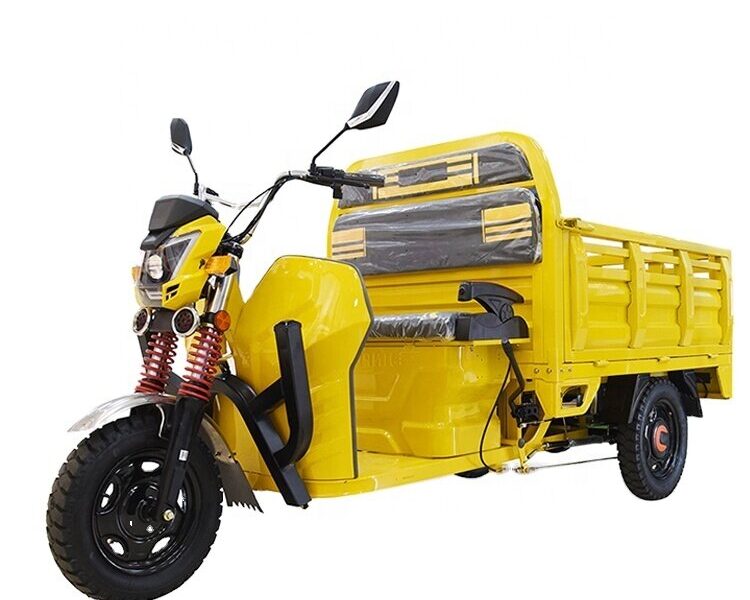 Passenger Driver and Cargo Delivery Electric Loader 1000W 2000W Lead Acid Battery Trike