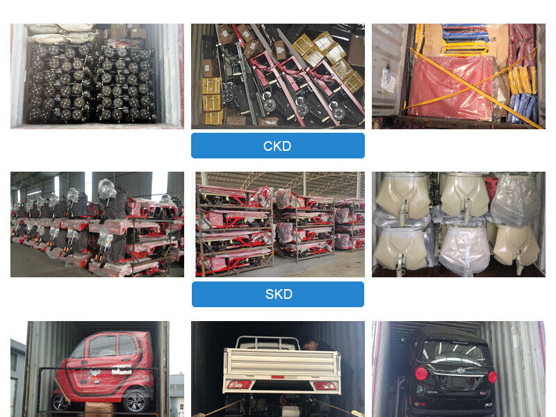 Passenger Driver and Cargo Delivery Electric Loader 1000W 2000W Lead Acid Battery Trike
