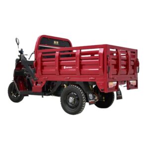 Passenger Driver and Cargo Delivery Electric Loader 1000W 2000W Lead Acid Battery Trike