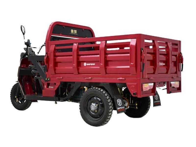Passenger Driver and Cargo Delivery Electric Loader 1000W 2000W Lead Acid Battery Trike
