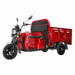 Passenger Driver and Cargo Delivery Electric Loader 1000W 2000W Lead Acid Battery Trike - image 2