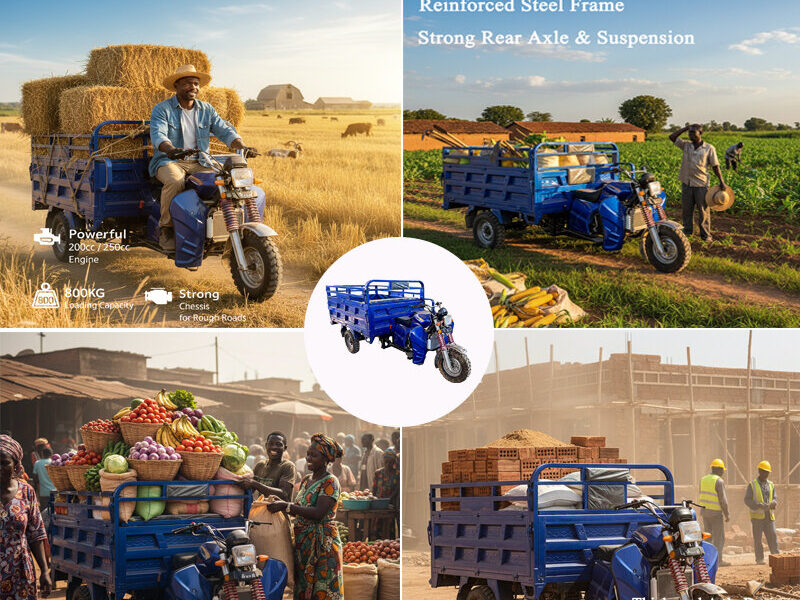 250cc Commercial Cargo Tricycle Motorcycle with Large Loading Box