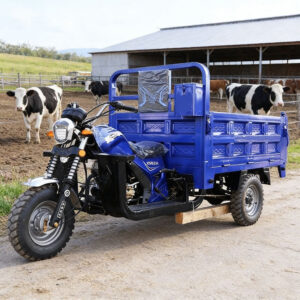 Petrol Cargo Tricycle Three Wheel Motorcycle for Commercial Use