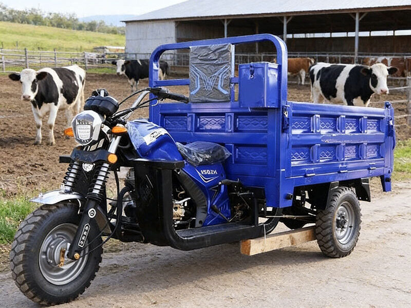 Petrol Cargo Tricycle Three Wheel Motorcycle for Commercial Use