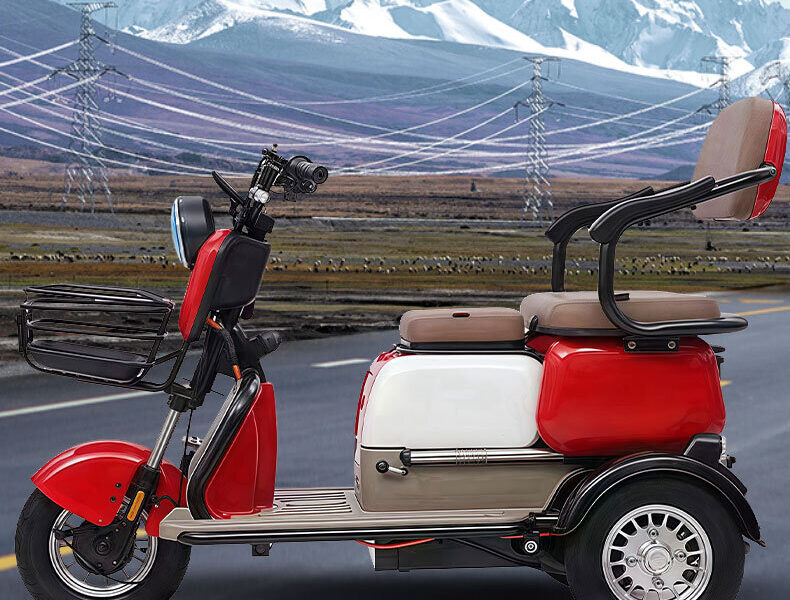 Powerful Road Electric Tricycle 800W 1000W Customized Motor Vacuum Tires