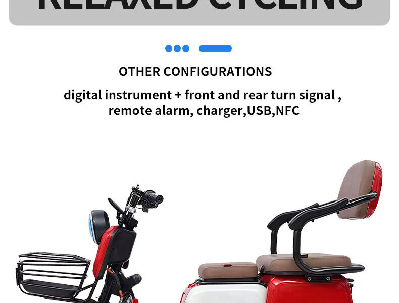 Powerful Road Electric Tricycle 800W 1000W Customized Motor Vacuum Tires