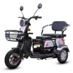 Powerful Road Electric Tricycle 800W 1000W Customized Motor Vacuum Tires - image 4
