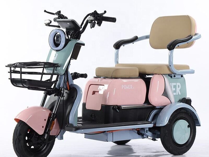 Professionally Designed Electric Tricycles 3 Wheels Rear Hub Motor 1000W Brushless Motor Aluminum Frame 30-50Km/h for Manned Use