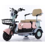 Professionally Designed Electric Tricycles 3 Wheels Rear Hub Motor 1000W Brushless Motor Aluminum Frame 30-50Km/h for Manned Use - image 6