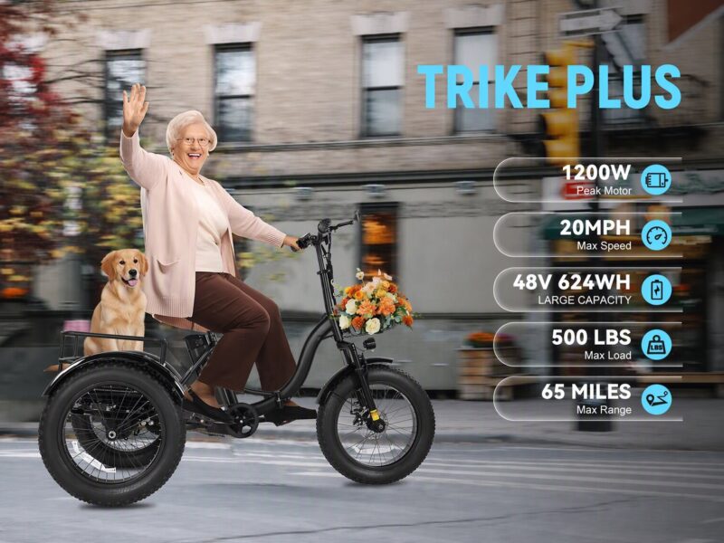 Qlife Triker Plus Folding 3 Wheels Trike Ebike Electric Cargo Bike Tricycle for Adult