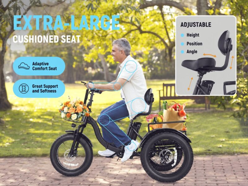 Qlife Triker Plus Folding 3 Wheels Trike Ebike Electric Cargo Bike Tricycle for Adult