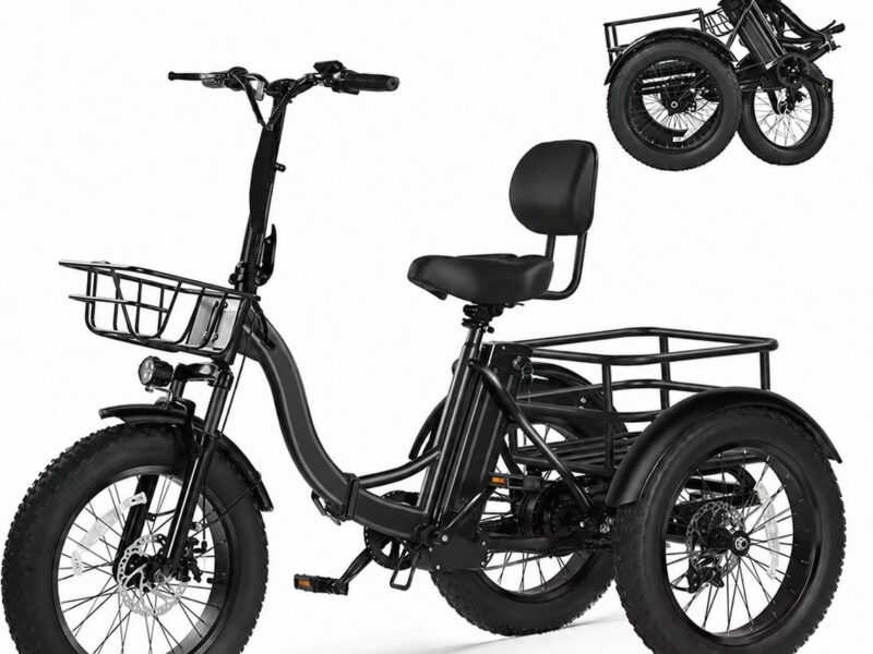 Qlife Triker Plus Folding 3 Wheels Trike Ebike Electric Cargo Bike Tricycle for Adult