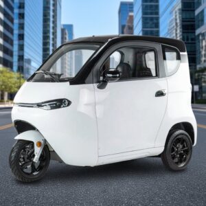 Spare Parts Electric Adult Closed Tricycle with Lithium Battery 2000W 72V 3 Passengers High Payload Capacity 45km/h 90km Range