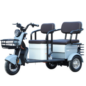 The Newest Big Power Electric Tricycle for Cargo Electric Vehicle for Adults With Best Price