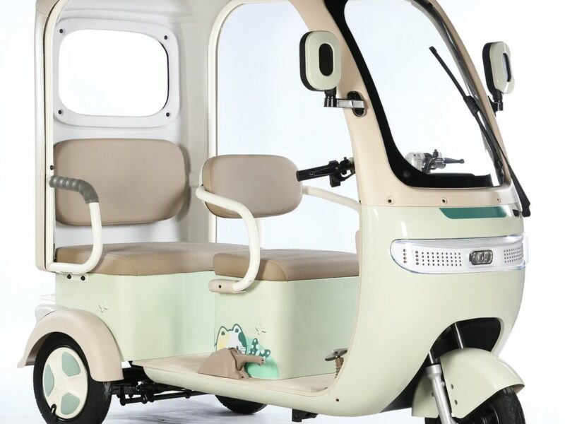 Three Wheel Scooter Passenger Leisure Electric Tricycle for Adults Electric Passenger Elder Tricycle