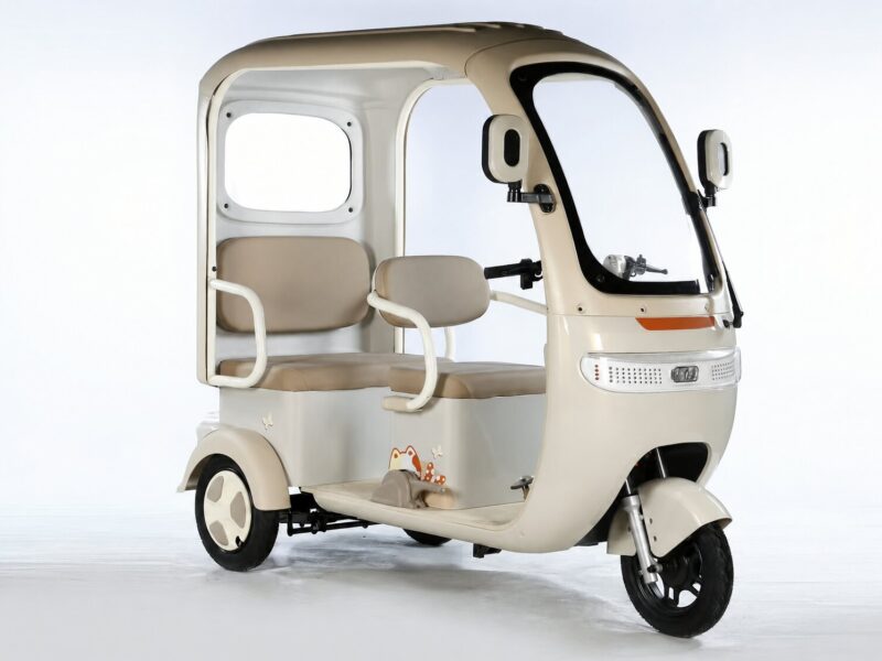 Three Wheel Scooter Passenger Leisure Electric Tricycle for Adults Electric Passenger Elder Tricycle